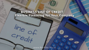 Business Line of Credit Helps Flexible Financing for Your Company