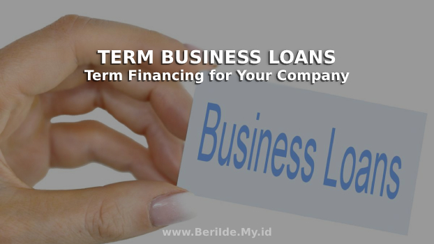 Term Business Loans With Long Term Financing for Your Company